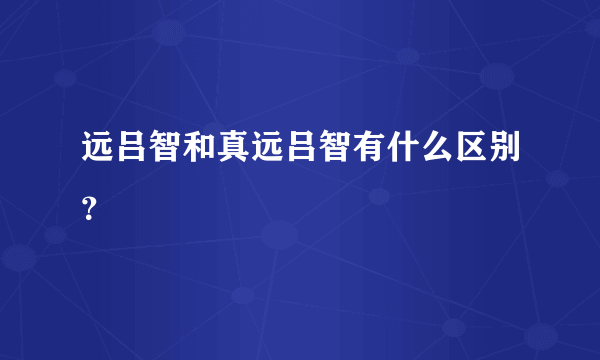 远吕智和真远吕智有什么区别？