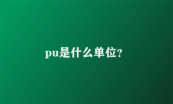 pu是什么单位？
