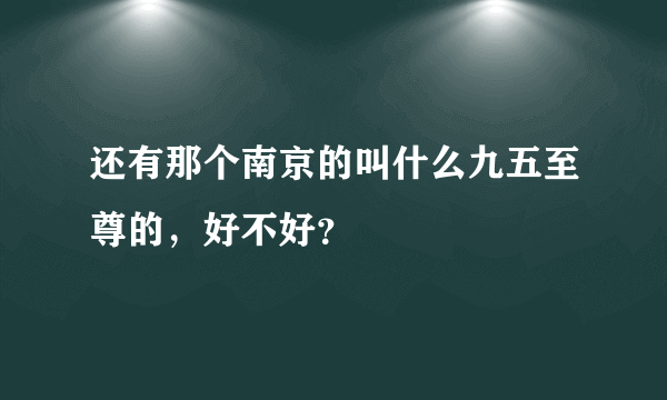 还有那个南京的叫什么九五至尊的，好不好？