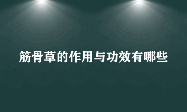 筋骨草的作用与功效有哪些