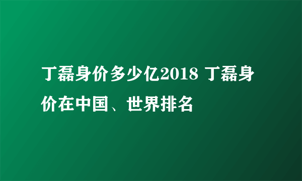 丁磊身价多少亿2018 丁磊身价在中国、世界排名