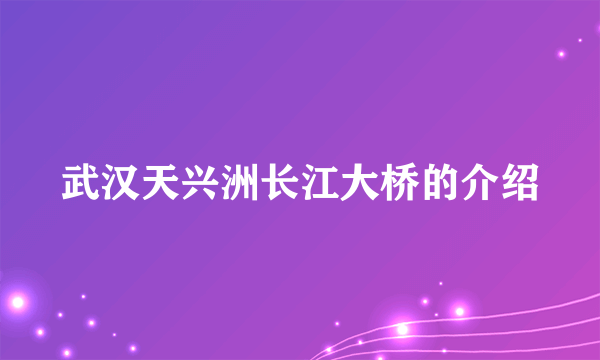 武汉天兴洲长江大桥的介绍