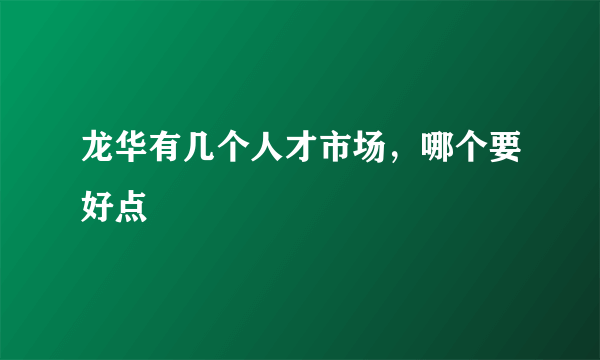 龙华有几个人才市场，哪个要好点
