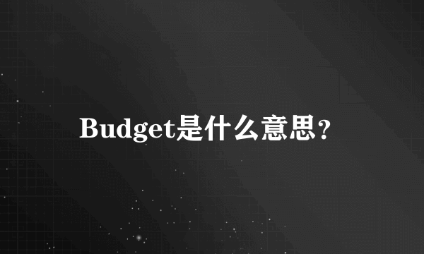 Budget是什么意思？