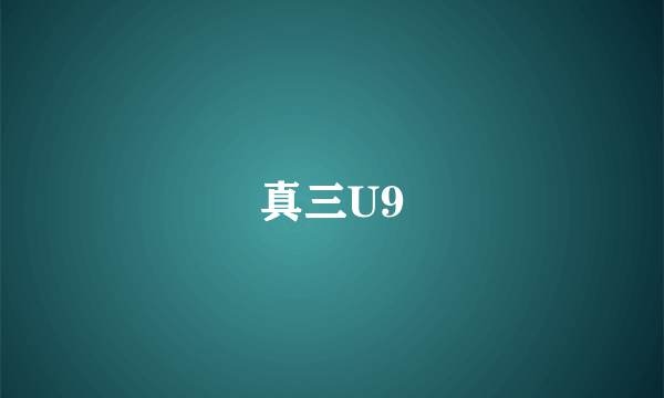 真三U9
