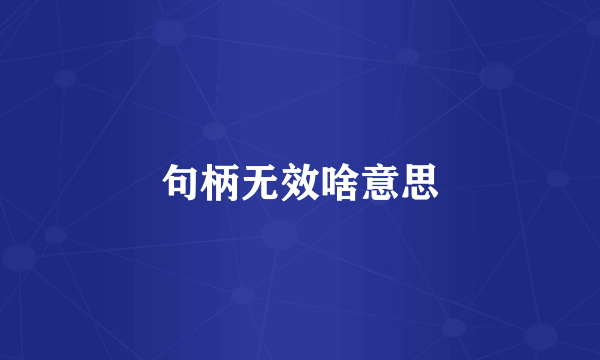 句柄无效啥意思