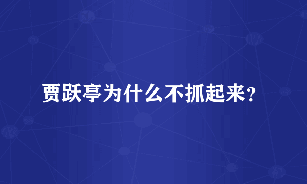 贾跃亭为什么不抓起来？