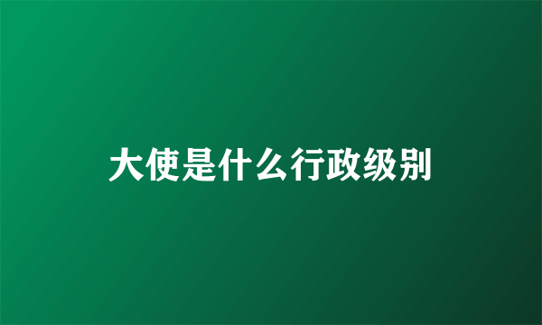 大使是什么行政级别