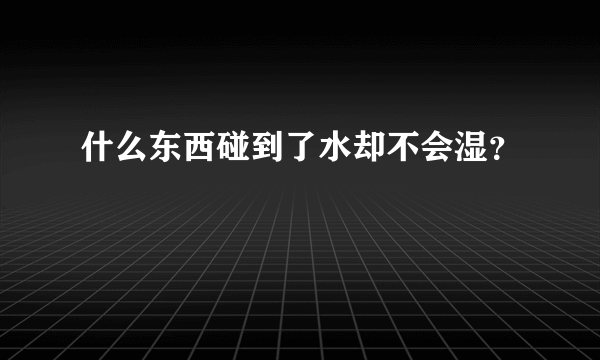 什么东西碰到了水却不会湿？