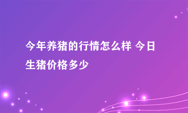 今年养猪的行情怎么样 今日生猪价格多少