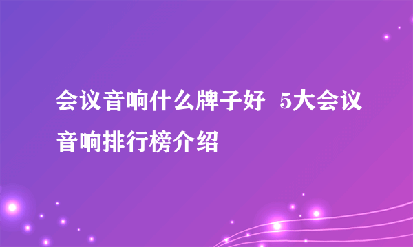 会议音响什么牌子好  5大会议音响排行榜介绍