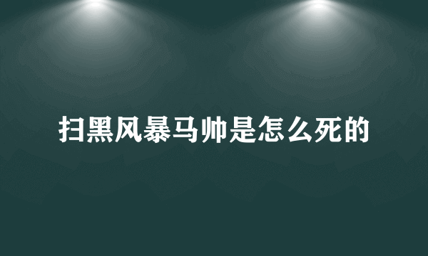 扫黑风暴马帅是怎么死的
