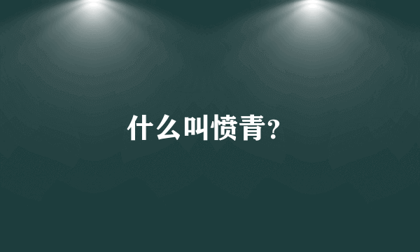 什么叫愤青？