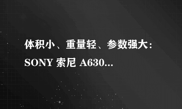 体积小、重量轻、参数强大：SONY 索尼 A6300 APS-C画幅 微单相机