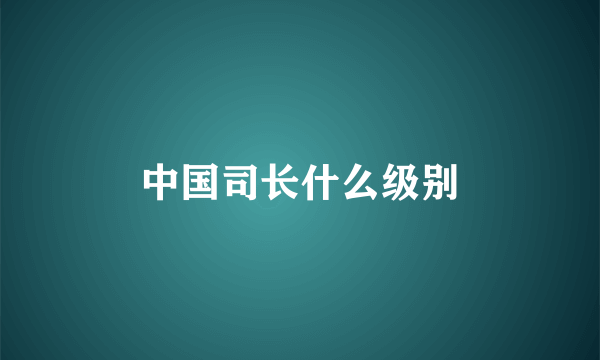 中国司长什么级别