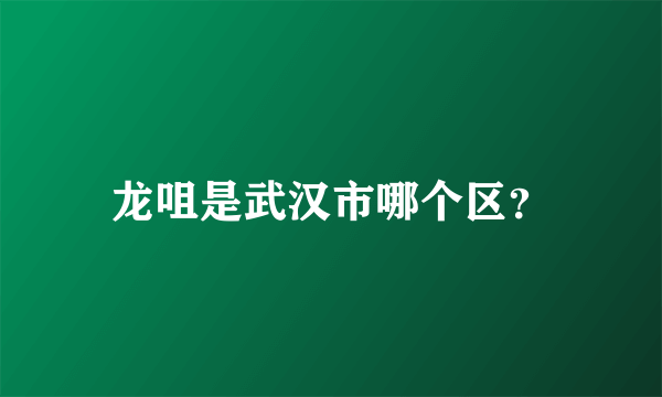 龙咀是武汉市哪个区？
