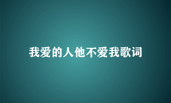 我爱的人他不爱我歌词