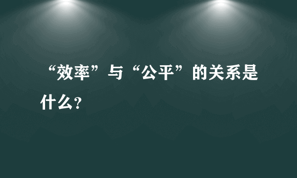 “效率”与“公平”的关系是什么？