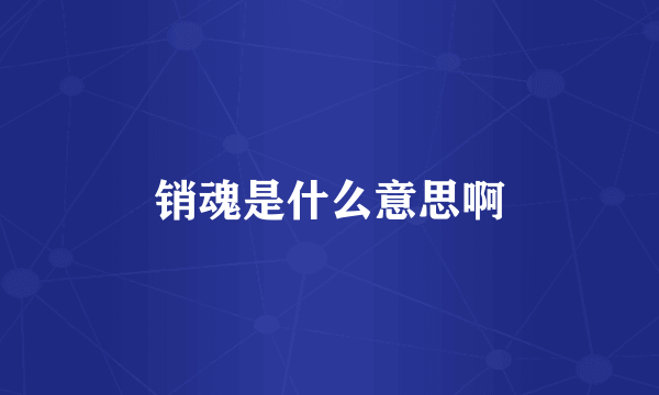 销魂是什么意思啊