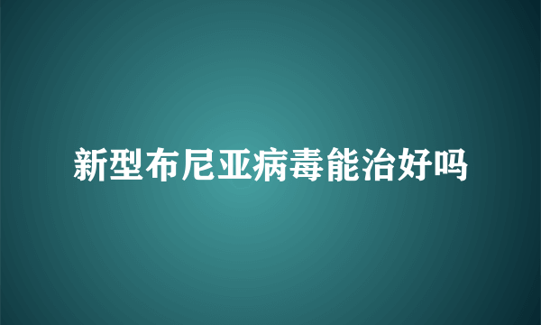 新型布尼亚病毒能治好吗