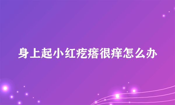 身上起小红疙瘩很痒怎么办