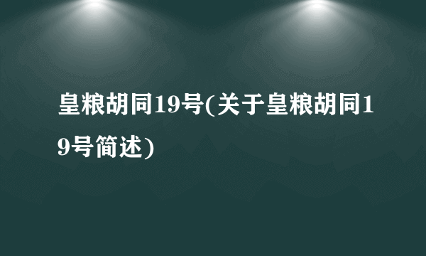 皇粮胡同19号(关于皇粮胡同19号简述)