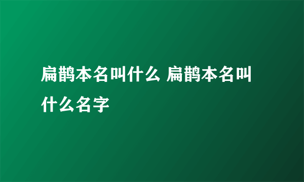 扁鹊本名叫什么 扁鹊本名叫什么名字