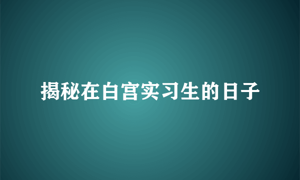 揭秘在白宫实习生的日子