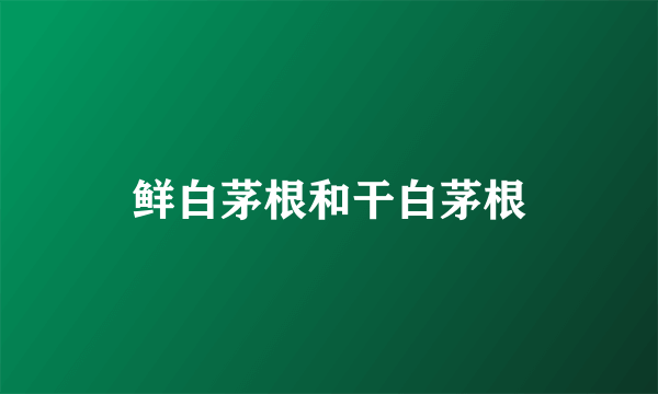 鲜白茅根和干白茅根