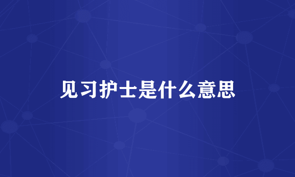见习护士是什么意思
