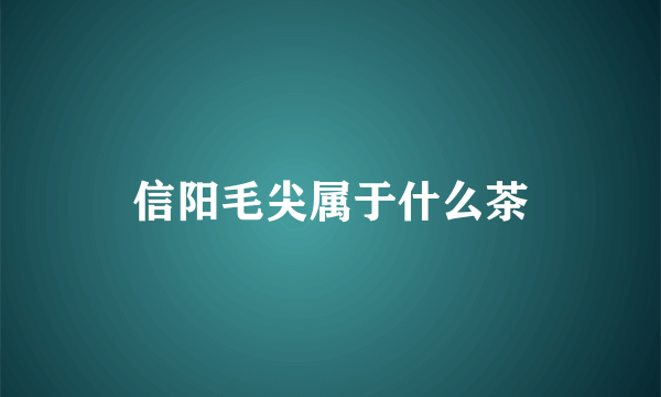 信阳毛尖属于什么茶