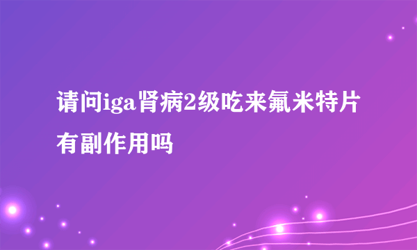 请问iga肾病2级吃来氟米特片有副作用吗