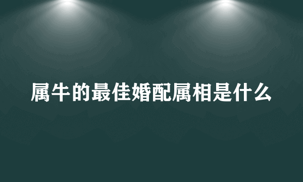 属牛的最佳婚配属相是什么