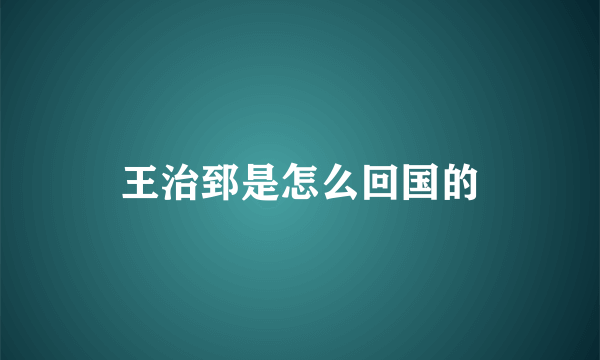 王治郅是怎么回国的