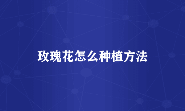 玫瑰花怎么种植方法