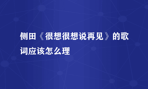 侧田《很想很想说再见》的歌词应该怎么理
