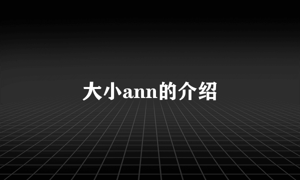 大小ann的介绍