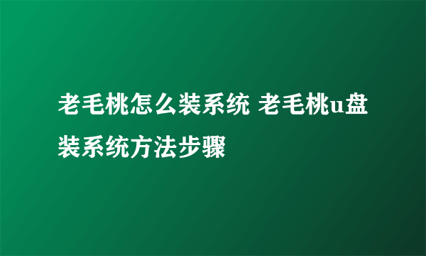 老毛桃怎么装系统 老毛桃u盘装系统方法步骤