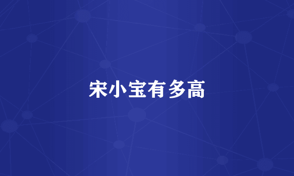 宋小宝有多高