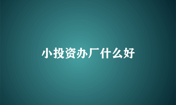 小投资办厂什么好