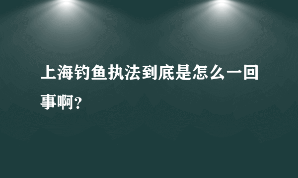 上海钓鱼执法到底是怎么一回事啊？
