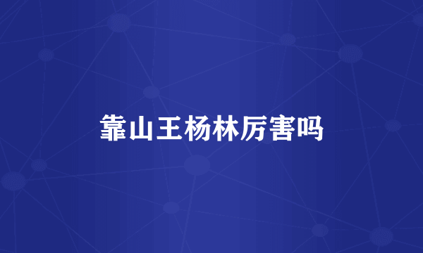 靠山王杨林厉害吗
