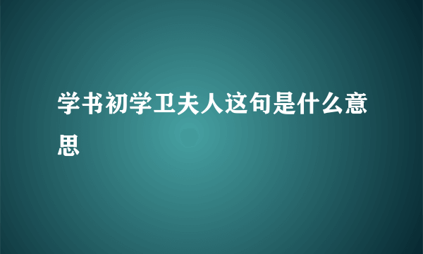 学书初学卫夫人这句是什么意思