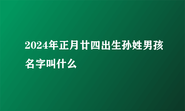 2024年正月廿四出生孙姓男孩名字叫什么