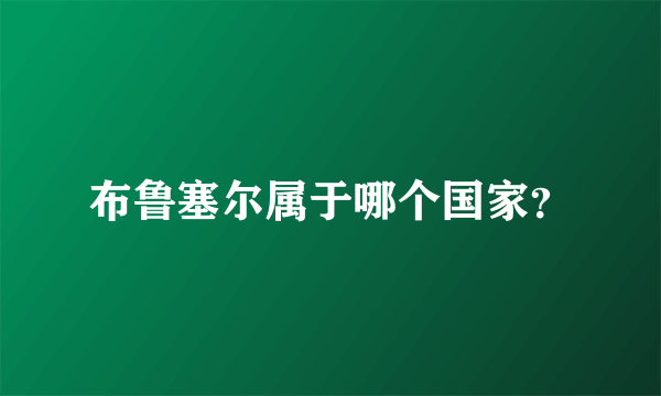 布鲁塞尔属于哪个国家？