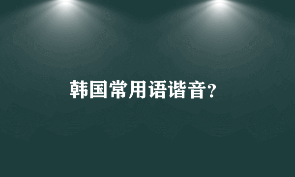 韩国常用语谐音？
