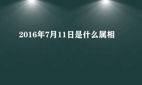 2016年7月11日是什么属相