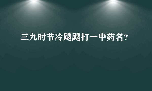 三九时节冷飕飕打一中药名？