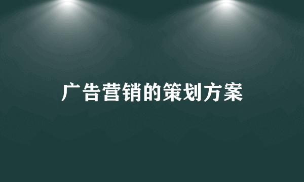 广告营销的策划方案