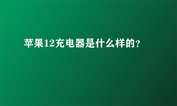 苹果12充电器是什么样的？